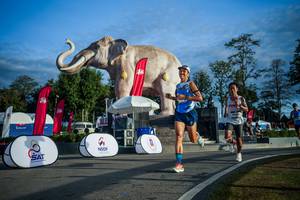 BIB: 
                            <button type="button" onclick="openModal(26541583)" class="btn btn-primary btn-sm float-right btn-popup" data-toggle="modal" data-target=".modal-high-quality">
                        <i class="fas fa-shopping-cart"></i> Add to Cart
                    </button>
                                            <button type="button" onclick="isThisMe(26541583, true)" class="btn btn-success btn-sm float-right btn-popup btn-isme hidden" data-toggle="tooltip" data-placement="bottom" title="นี่คือรูปของคุณใช่ไหม คลิกที่นี่เพื่อเอาเข้าอัลบั้ม">
                        <i class="fas fa-plus"></i> Add to album
                    </button>
                    <button type="button" onclick="isThisMe(26541583, false)" class="btn btn-warning btn-sm float-right btn-popup btn-isnotme hidden">
                        <i class="fas fa-ban"></i> Remove from album
                    </button>